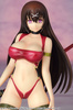 photo of Tokugawa Sen Swimsuit ver.