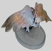 photo of Tenshi Winged Ver.