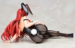photo of B-style Rias Gremory Bunny Ver.