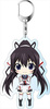 photo of IS: Infinite Stratos 2 Deka Keyholder: Shinonono Houki