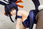 photo of B-style Akeno Himejima Bunny Ver.