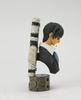 photo of Trigun K&M BustUp Model Series: Nicholas D. Wolfwood