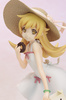 photo of Shinobu Oshino Panaino! ver.