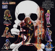 photo of HG Series Captain Harlock ~Gaiden~: Daiba Tadashi