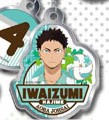 main photo of Haikyuu!! Metal Charm Collection: Hajime Iwaizumi