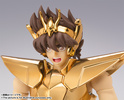 photo of Saint Cloth Myth EX Pegasus Seiya ~Kurumada Masami 40th Anniversary Edition~