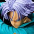 Figure Colosseum Trunks