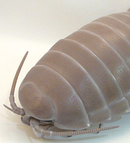 main photo of Nature Techni Color Giant Isopod