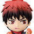 Kuroko no Basket ~Fuyu no Yori Michi~ Chibi Kyun-Chara Vol.1: Kagami Taiga