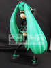 photo of Gathering Hatsune Miku