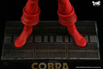 photo of Cobra
