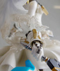 photo of Perfect Posing Products No.004 Saber Bride