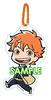 photo of Haikyuu!! Yawaraka Clear Strap: Shoyo Hinata