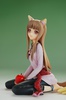 photo of Holo