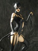 photo of Fantasy Figure Gallery ~DC Comics Collection~ Catwoman