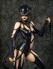 photo of Fantasy Figure Gallery ~DC Comics Collection~ Catwoman