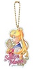 photo of Sailor Moon Crystal Acrylic Ball Chain Collection: Sailor Moon