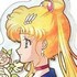 Sailor Moon Crystal Acrylic Ball Chain Collection: Sailor Moon