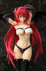 photo of Rias Gremory Fledge Ver.