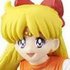 Sailor Moon Desk ni Maiorita Senshi-tachi: Sailor Venus