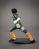 photo of DX-Tra Rock Lee