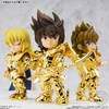 photo of Saint Seiya Daizenshuu Leo Aiolia