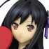 Special Figure Kuroyukihime