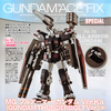 photo of MG FA-78-1 Gundam Full Armor Type Ver. Ka Gundam Thunderbolt Ver.