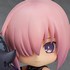 Nendoroid Shielder