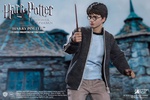 photo of My Favorite Movie Series Harry Potter Teenage Ver.