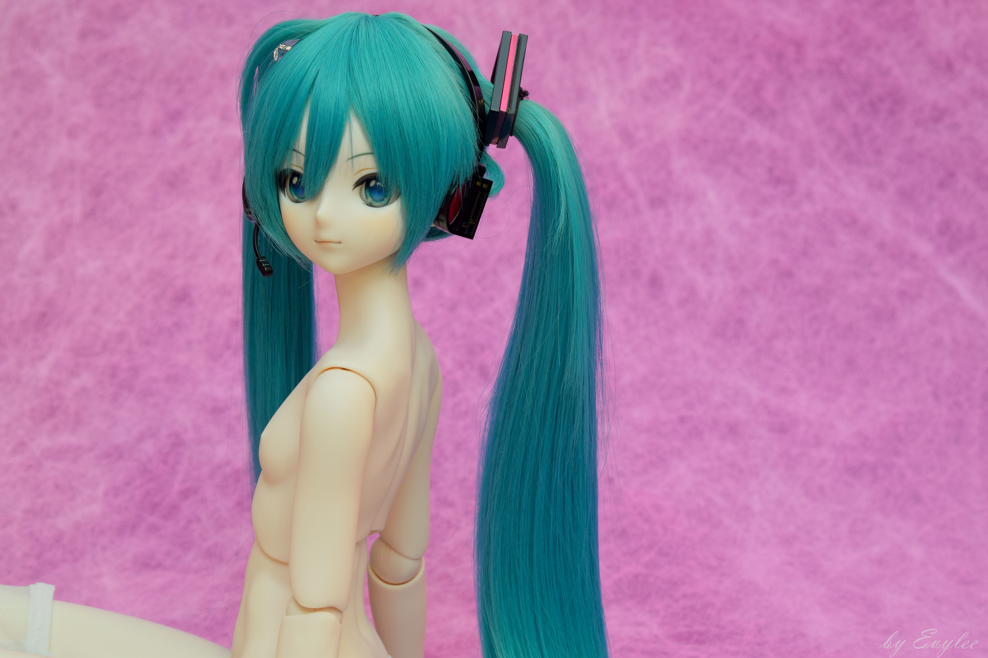 Marked figures: Dollfie Dream Hatsune Miku. 