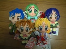 photo of Toudaiji Miyako Plushie