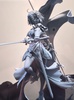 photo of Jeanne d'Arc Alter 2nd Ascension