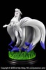 photo of Ninetales silver ver.