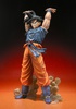 photo of Figuarts ZERO Son Goku Ver. Genki Dama