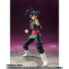 photo of S.H.Figuarts Goku Black