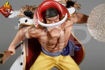 photo of SD Whitebeard [Low Set]