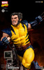 photo of Wolverine