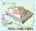 photo of Petite Sample Circumstance of Zubora-chan's Room: Fall asleep