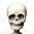 Pose Skeleton Human 01