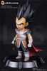 photo of LBSR002 KID VEGETA