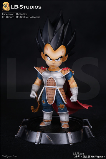 main photo of LBSR002 KID VEGETA