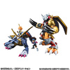 photo of Precious G.E.M. WarGreymon & Yagami Taichi