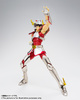 photo of Saint Cloth Myth Pegasus Seiya First Bronze Cloth Revival Ver.