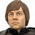 Luke Skywalker Jedi Mini Bust
