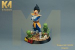 photo of Vegeta & Saibamen