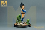 photo of Vegeta & Saibamen