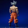 photo of Gigantic Series Son Goku Migatte no Goku'i 