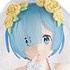 EXQ Figure Rem