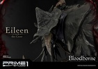 photo of Ultimate Premium Masterline Eileen The Crow